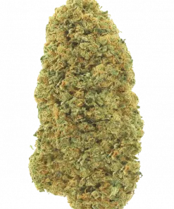 Amnesia Nr. 7, belirgin limon aroması ve yüksek enerjisiyle bilinen sativa baskın bir türdür. Yaratıcılığı tetikleyen genetik yapısını keşfedin ve hemen görüntüleyin.