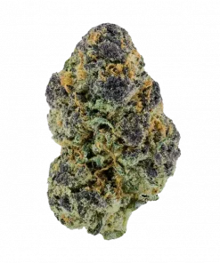 Andy Warhol, tatlı meyve aromaları ve rahatlatıcı etkisiyle öne çıkan Indica baskın bir türdür. London Pound Cake genetiğini keşfedin ve detayları görüntüleyin.