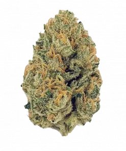 Angel Cake, tatlı kek aroması ve THC oranıyla öne çıkan dengeli bir hibrit türdür. Yaratıcılığı artıran etkilerini ve genetik yapısını keşfedin.