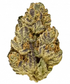 Angels Delights, kremsi limon aroması ve yüksek THC içeriğiyle öne çıkan Indica baskın bir türdür. Stres ve ağrı için ideal. Genetik yapısını keşfedin.