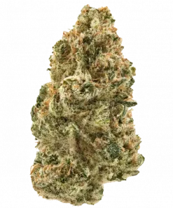 Angels Kandy, turunçgil aromaları ve yüksek THC içeriğiyle öne çıkan Indica baskın bir türdür. Dengeli etkilerini ve genetik yapısını keşfedin.