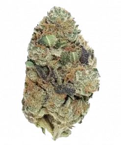 Animal Cookies, yakıtımsı aroması ve rahatlatıcı etkileriyle öne çıkan baskın bir Indica türüdür. Ağrı ve stresi azaltan bu özel türün genetik yapısını keşfedin.