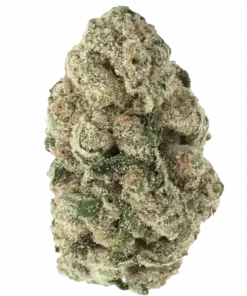 Animal Face, yoğun benzin kokusu ve rahatlatıcı etkileriyle bilinen Sativa baskın bir türdür. Ağrı ve iştah sorunlarına çözüm olabilir. Özelliklerini keşfedin.