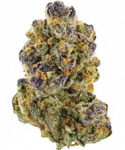 Animal Mint Cake, benzersiz mavi peynir aroması ve yüksek THC içeriğiyle öne çıkan bir hibrit türdür. Sakinleştirici etkilerini ve genetik yapısını keşfedin.