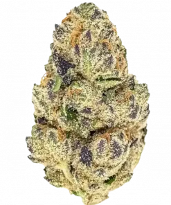 Animal Mints, tatlı nane aroması ve yüksek THC içeriğiyle bilinen dengeli bir hibrit türdür. İnsomnia ve ağrı için ideal. Etkilerini keşfedin.