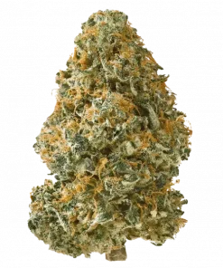 Animal Sherbet, yakıtımsı ve tatlı aromalarıyla bilinen, indica dominant bir türdür. Depresyon ve stresi azaltmaya yardımcıdır. Şimdi keşfedin.