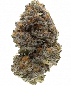 Animal Tree, yakıtımsı ve turunçgil notalarıyla öne çıkan dengeli bir hibrit türdür. Yüksek THC içeriğiyle dikkat çeken bu türün genetik yapısını keşfedin.