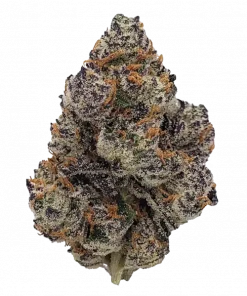 Any Day, yakıtımsı üzüm aroması ve yüksek THC içeriğiyle öne çıkan Indica dominant bir türdür. Yoğun rahatlama ve öfori etkilerini keşfedin.