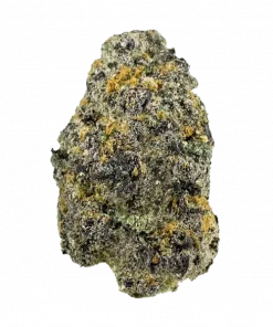 Apple Cloud, tatlı elma aroması ve dengeli etkisiyle öne çıkan bir hibrit türdür. Yüksek THC içeriğiyle yaratıcılığı artırır. Genetik yapısını keşfedin.