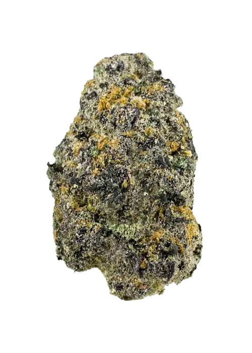 Apple Cloud, tatlı elma aroması ve dengeli etkisiyle öne çıkan bir hibrit türdür. Yüksek THC içeriğiyle yaratıcılığı artırır. Genetik yapısını keşfedin.