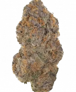 Apple Fritter, tatlı elma ve vanilya aromalarıyla öne çıkan dengeli bir hibrit türdür. Yüksek THC içeriğiyle rahatlatıcı etkilerini keşfedin ve genetik yapısını görüntüleyin.