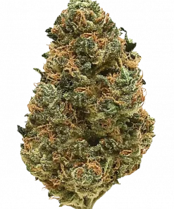 Apple Jack, meyveli ve peynirli aromasıyla öne çıkan dengeli bir hibrit türdür. THC içeriğiyle rahatlatıcı etkilere sahiptir. Bu eşsiz türü keşfedin.