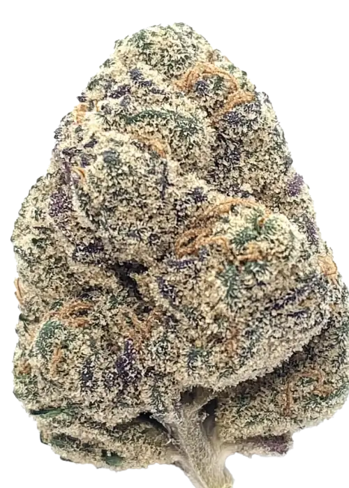 Apple Mac, elma ve yakıtımsı aromalarıyla öne çıkan Indica baskın bir türdür. Yüksek THC içeriğiyle rahatlatıcı etkilerini keşfedin ve genetik yapısını görüntüleyin.