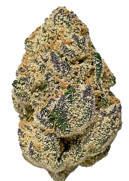 Apple Mintz, tatlı elma ve yakıtımsı aromalarıyla bilinen Indica baskın bir türdür. Rahatlatıcı etkileriyle öne çıkar. Bu eşsiz türü keşfedin.