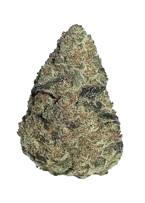 Apple Pie, yakıtımsı ve meyvemsi aromasıyla bilinen Sativa baskın bir türdür. -25 THC içerir. Depresyon ve stresi azaltmaya yardımcı olabilir. Özelliklerini keşfedin.