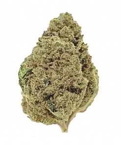 Apple Runtz, tatlı elma aroması ve yüksek THC içeriğiyle bilinen dengeli bir hibrit türdür. Yoğun rahatlama ve keyifli etkileri keşfedin.