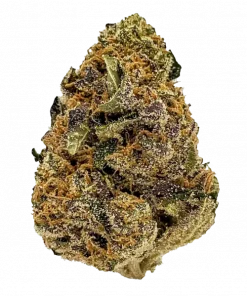 Apple Strudel Auto™, elma aroması ve THC ile öne çıkan Sativa baskın türdür. Yaratıcılığı artıran etkilerini keşfedin ve genetik yapısını görüntüleyin.