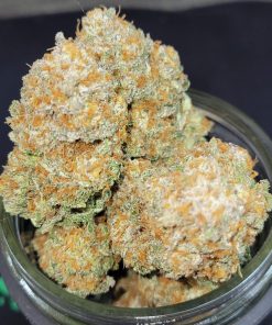 Apple Strudel Auto Fem Esrar Tohumu (Fast Buds)