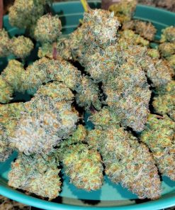 Apple Strudel Auto Fem Esrar Tohumu (Fast Buds)