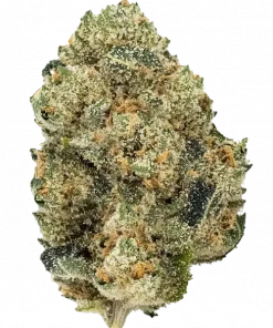 Apple Tartz, tatlı elma aroması ve yüksek THC içeriğiyle öne çıkan dengeli bir hibrit türdür. Depresyon ve uykusuzluğa iyi gelir. Özelliklerini keşfedin.