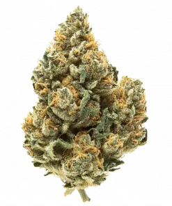 Apple Zauce, tatlı meyve aromaları ve rahatlatıcı etkisiyle bilinen Indica baskın bir türdür. Yüksek verimiyle öne çıkar. Bu eşsiz türü keşfedin.