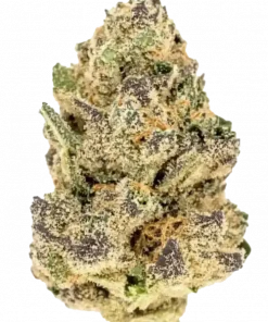 Apples and Bananas, tatlı muz ve keskin elma aromalarıyla öne çıkan dengeli bir hibrit türdür. Yüksek THC içeriğiyle dikkat çeker. Etkilerini keşfedin.