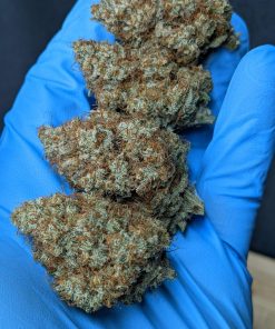 Apricot ™ Auto Fem Esrar Tohumu (Fast Buds)