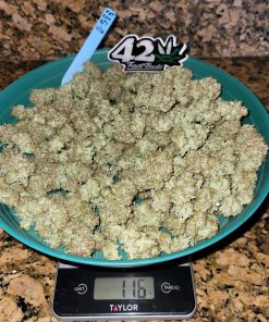 Apricot ™ Auto Fem Esrar Tohumu (Fast Buds)