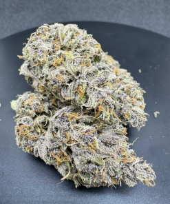 Apricot ™ Auto Fem Esrar Tohumu (Fast Buds)