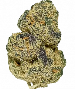 Strawberry Haze, tatlı çilek aroması ve THC oranıyla öne çıkan bir Sativa türüdür. Enerji verici etkilerini ve genetik yapısını keşfedin.