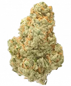 Arjan's Ultra Haze 1, narenciye aromaları ve yüksek THC içeriğiyle öne çıkan Sativa baskın bir türdür. Eşsiz genetik yapısını ve etkilerini keşfedin.