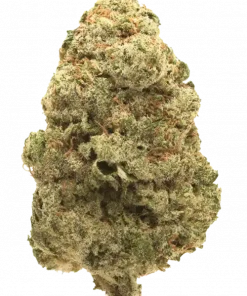 Astro Pop, yakıtımsı dizel aroması ve yüksek THC içeriğiyle öne çıkan Indica dominant bir türdür. Stres ve ağrı için ideal. Genetik yapısını keşfedin.