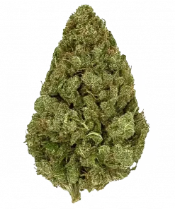 Atlas F1, çam ve turunçgil aromalarıyla öne çıkan dengeli bir hibrit türüdür. CBD içeriğiyle rahatlama sağlar. Genetik yapısını keşfedin ve detayları görüntüleyin.