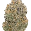 Atomic Blue Dream, yaban mersini aromaları ve rahatlatıcı etkileriyle bilinen dengeli bir hibrit türdür. Blue Dream genetiğini keşfedin ve potansiyel faydalarını görüntüleyin.
