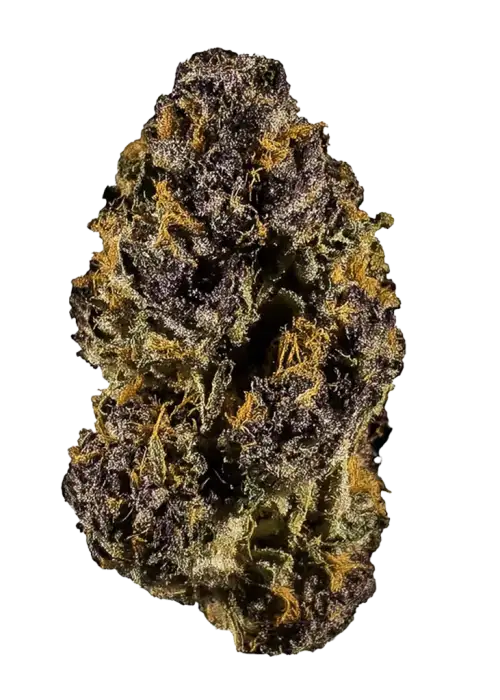 Augustus Glue, tatlı ve topraksı aromalarıyla öne çıkan Indica baskın bir türdür. THC içeriğiyle rahatlama sağlar. Etkilerini keşfedin.