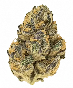 Aura, yüksek THC içeriği ve benzersiz toprak aromasıyla öne çıkan dengeli bir hibrit türdür. Derin rahatlama ve zihinsel canlılık sunar. Etkilerini keşfedin.