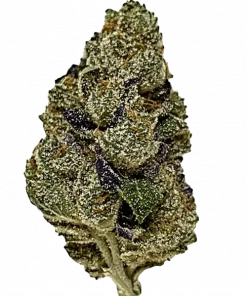 Auto Divine Rapier, tatlı tropikal aroması ve yüksek THC içeriğiyle bilinen Indica dominant türdür. Uykusuzluk ve stres için ideal. Özelliklerini keşfedin.