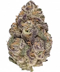 Auto Purple Opium, üzüm aromalı ve rahatlatıcı etkisiyle öne çıkan Indica baskın bir türdür. Yüksek verimi ve tıbbi faydalarını keşfedin.