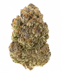 Baddie’s Blunt O’Clock, yakıtımsı notaları ve yüksek THC içeriğiyle öne çıkan bir hibrit türdür. Benzersiz genetik yapısını ve etkilerini keşfedin.