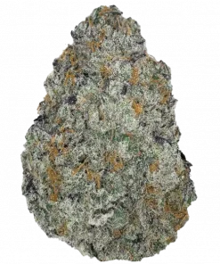 Bakers Delight, tatlı ve toprak aromalı, yüksek THC'li bir Indica türüdür. Yaratıcılığı tetikler ve rahatlatır. Bu eşsiz türü keşfedin.