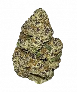 Baklava, yakıtımsı aroması ve 'e varan THC içeriğiyle öne çıkan Indica dominant bir türdür. Yaratıcılığı artıran bu eşsiz türü keşfedin.