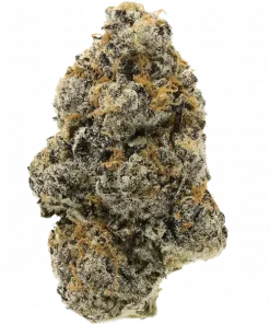 Baller's Game, tropikal meyve ve yakıtımsı notalarıyla öne çıkan güçlü bir hibrit türdür. Yüksek THC içeriğiyle dikkat çeker. Genetik yapısını keşfedin.