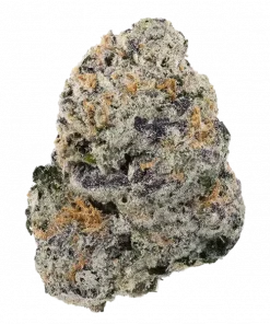 Bam Bam LTD, tropikal şekerleme aromaları ve dengeli etkisiyle öne çıkan bir hibrit türüdür. Zowahh Papayaz ve Fresca Melon genetiğini keşfedin.