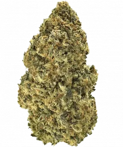 Banana Blaze, muz aroması ve rahatlatıcı etkileriyle bilinen indica dominant bir türdür. Hafif ağrı ve stres için ideal. Genetik yapısını keşfedin.