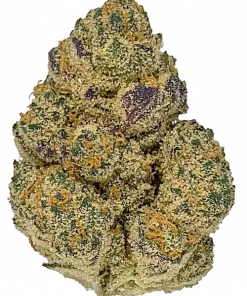 Banana Bread, tatlı muz aroması ve THC içeriğiyle öne çıkan dengeli bir hibrit türüdür. Ağrı ve depresyon için ideal. Genetik yapısını keşfedin.