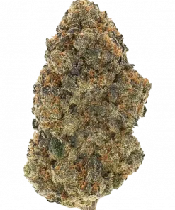 Banana Cake Pop, tatlı muz aroması ve rahatlatıcı etkileriyle bilinen dengeli bir hibrit türdür. Stres ve ağrı için ideal. Genetik yapısını keşfedin.