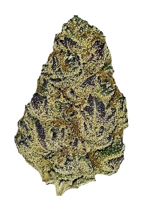 Banana Candy, tatlı meyve aroması ve yüksek THC içeriğiyle bilinen güçlü bir Indica türüdür. Derin rahatlama ve uyku için ideal. Genetik yapısını keşfedin.