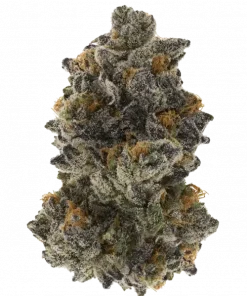 Banana Clipz, tatlı muz aroması ve rahatlatıcı etkileriyle öne çıkan Indica dominant bir türdür. Depresyon ve iştahsızlıkla mücadelede potansiyel faydalarını keşfedin.