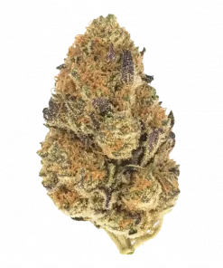 Banana Cream, tatlı muz aroması ve rahatlatıcı etkisiyle bilinen indica baskın bir türdür. Benzersiz genetik yapısını ve potansiyel faydalarını keşfedin.