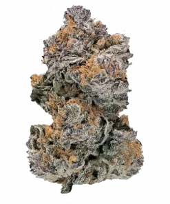 Banana Cream Sundae, vanilya aroması ve yüksek THC içeriğiyle öne çıkan Indica dominant bir türdür. Eşsiz lezzetini ve potansiyel faydalarını keşfedin.